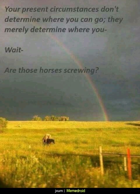 Your present circumstances don't determine where you can go; they merely determine where you- Wait- Are those horses screwing?