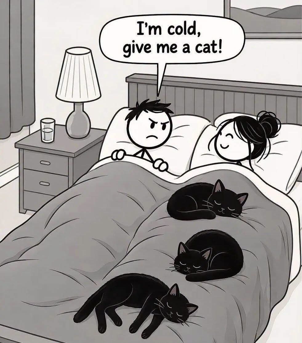 I'm cold, give me a cat!
