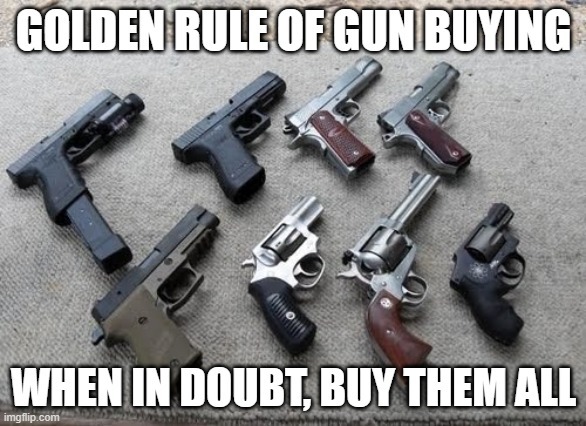 GOLDEN RULE OF GUN BUYING WHEN IN DOUBT, BUY THEM ALL