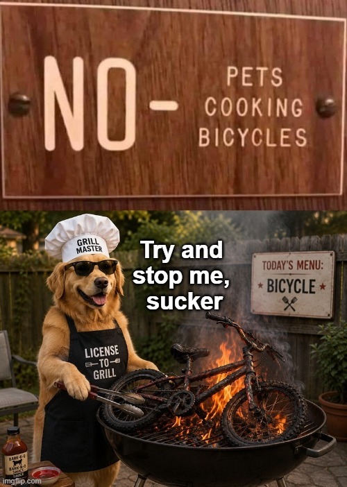 NO - PETS COOKING BICYCLES GRILL MASTER LICENSE TO GRILL Try and stop me, sucker TODAY'S MENU: BICYCLE