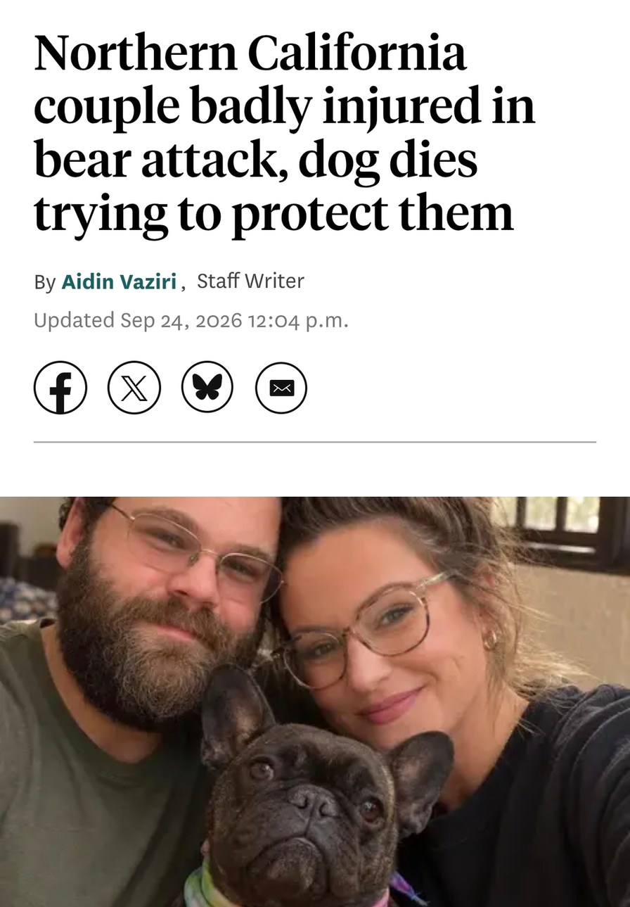 Northern California couple badly injured in bear attack, dog dies trying to protect them. By Aidin Vaziri, Staff Writer. Updated Sep 24, 2026 12:04 p.m.