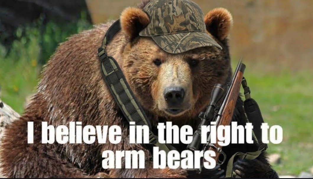 I believe in the right to arm bears