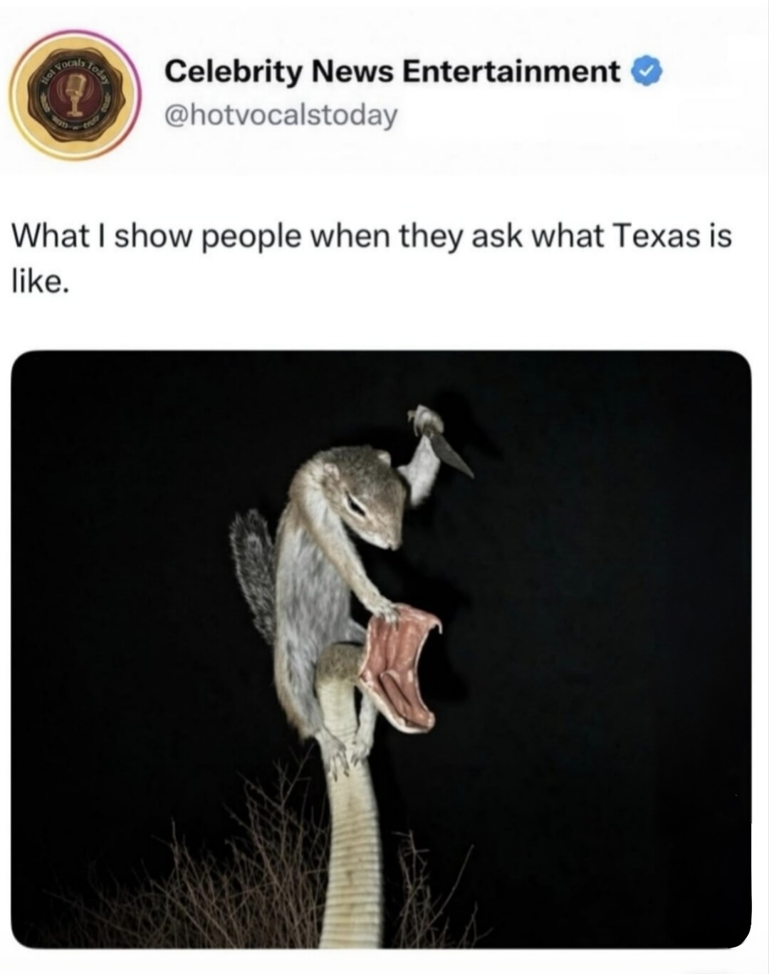 Celebrity News Entertainment @hotvocalstoday What I show people when they ask what Texas is like.