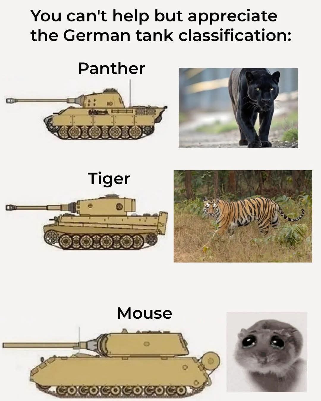 You can't help but appreciate the German tank classification: Panther, Tiger, Mouse