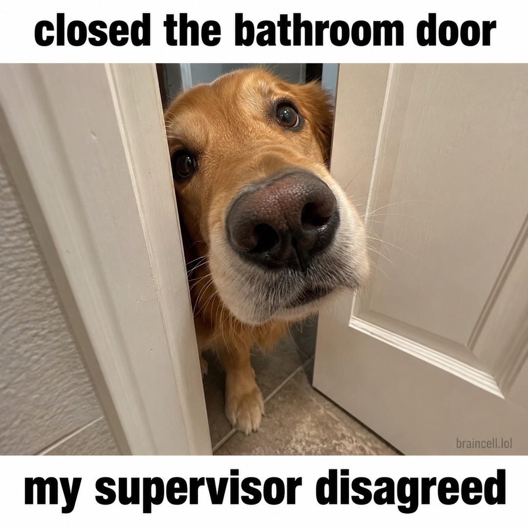 closed the bathroom door my supervisor disagreed braincell.lol