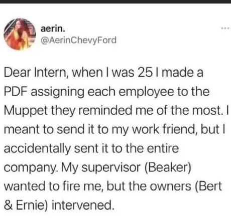 aerin. @AerinChevyFord Dear Intern, when I was 25 I made a PDF assigning each employee to the Muppet they reminded me of the most. I meant to send it to my work friend, but I accidentally sent it to the entire company. My supervisor (Beaker) wanted to fire me, but the owners (Bert & Ernie) intervened.