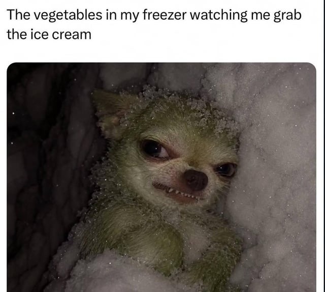 The vegetables in my freezer watching me grab the ice cream