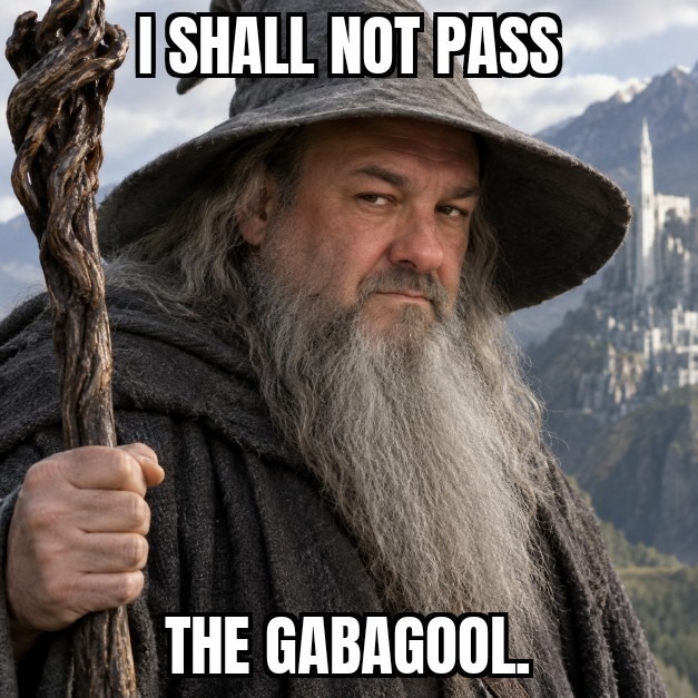 I SHALL NOT PASS THE GABAGOOL.