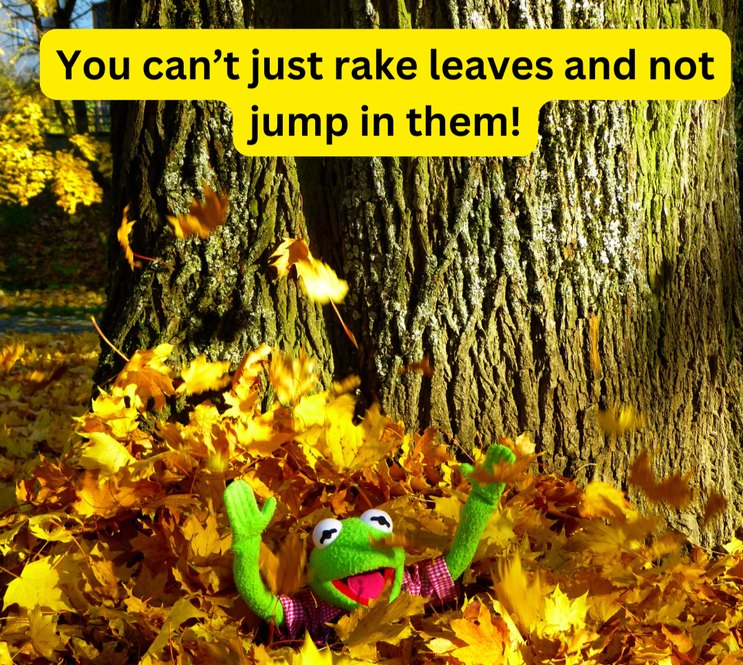 You can't just rake leaves and not jump in them!