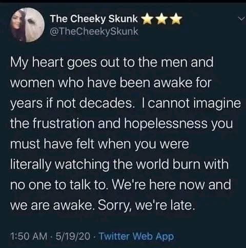 My heart goes out to the men and women who have been awake for years if not decades. I cannot imagine the frustration and hopelessness you must have felt when you were literally watching the world burn with no one to talk to. We're here now and we are awake. Sorry, we're late.