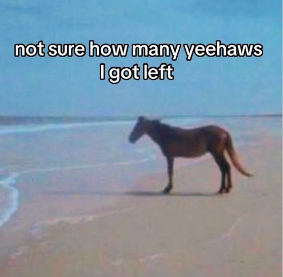 not sure how many yeehaws I got left