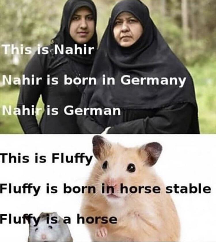 This is Nahir. Nahir is born in Germany. Nahir is German. This is Fluffy. Fluffy is born in horse stable. Fluffy is a horse.