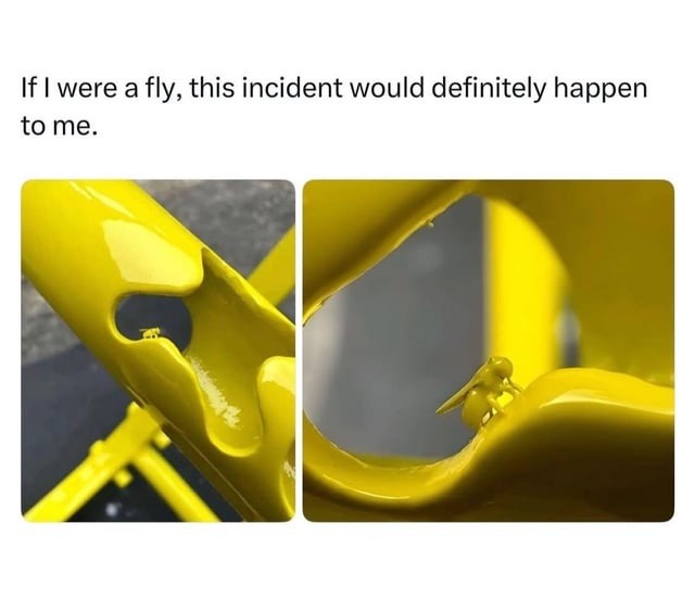 If I were a fly, this incident would definitely happen to me.