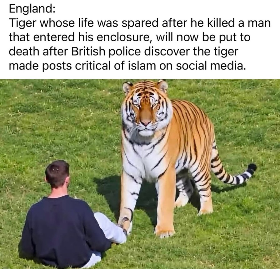 England: Tiger whose life was spared after he killed a man that entered his enclosure, will now be put to death after British police discover the tiger made posts critical of islam on social media.