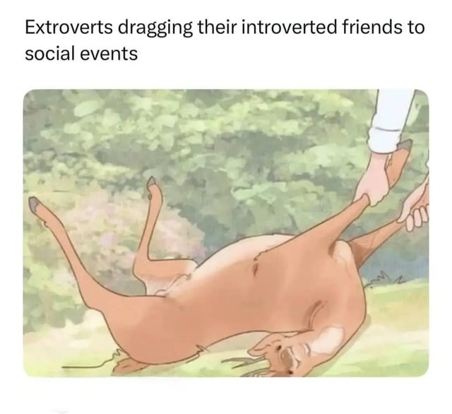 Extroverts dragging their introverted friends to social events