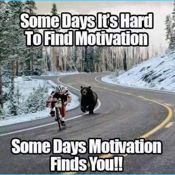 Some Days It's Hard To Find Motivation Some Days Motivation Finds You!!