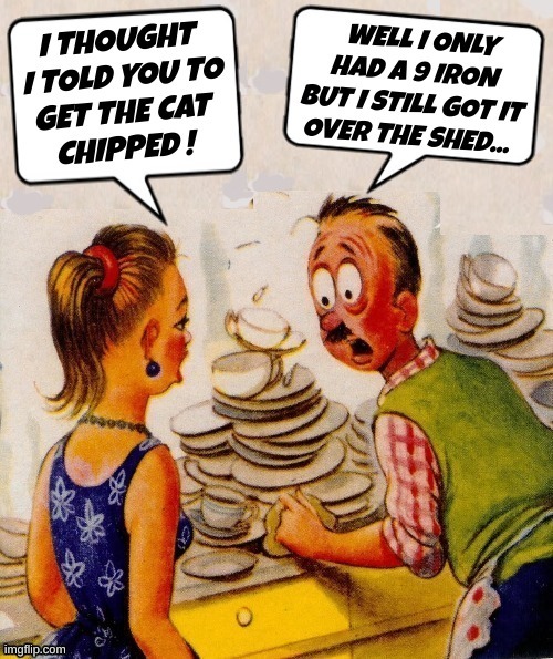 I THOUGHT I TOLD YOU TO GET THE CAT CHIPPED ! WELL I ONLY HAD A 9 IRON BUT I STILL GOT IT OVER THE SHED...