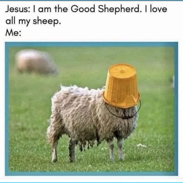 Jesus: I am the Good Shepherd. I love all my sheep. Me: