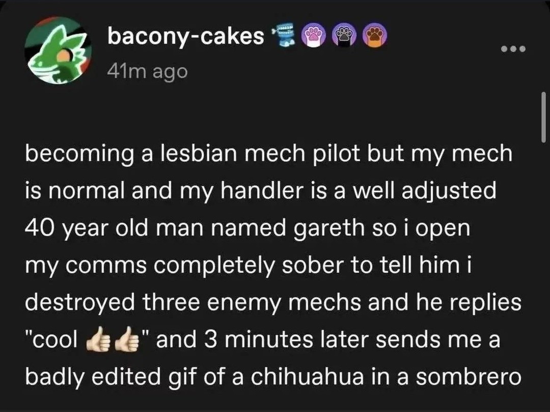 bacony-cakes 41m ago becoming a lesbian mech pilot but my mech is normal and my handler is a well adjusted 40 year old man named gareth so i open my comms completely sober to tell him i destroyed three enemy mechs and he replies 