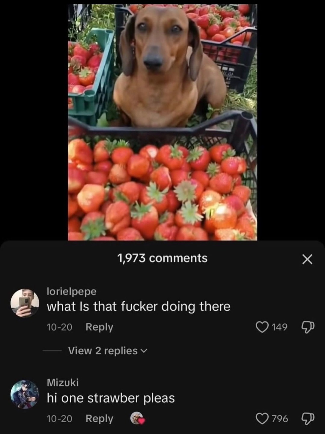 1,973 comments. lorielpepe: what Is that fucker doing there. Mizuki: hi one strawber pleas.
