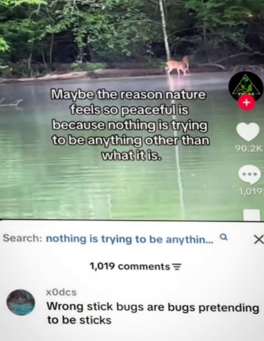 Maybe the reason nature feels so peaceful is because nothing is trying to be anything other than what it is. Wrong stick bugs are bugs pretending to be sticks.