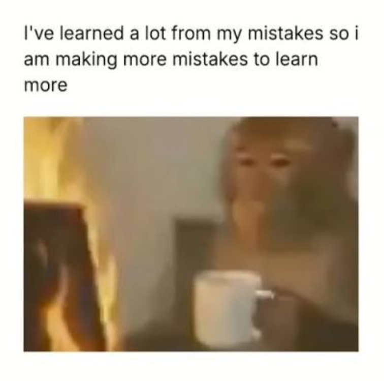 I've learned a lot from my mistakes so i am making more mistakes to learn more