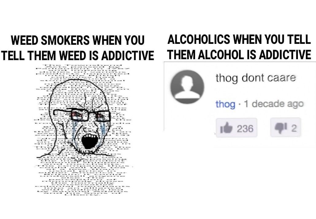 WEED SMOKERS WHEN YOU TELL THEM WEED IS ADDICTIVE ALCOHOLICS WHEN YOU TELL THEM ALCOHOL IS ADDICTIVE thog dont caare thog 1 decade ago 236 2
