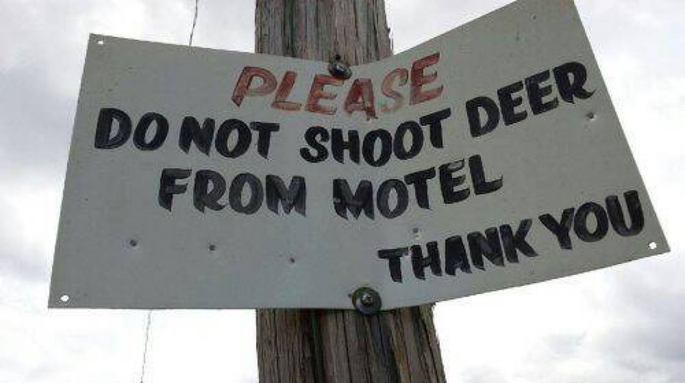PLEASE DO NOT SHOOT DEER FROM MOTEL THANK YOU