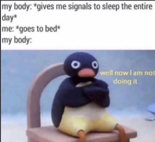 my body: *gives me signals to sleep the entire day* me: *goes to bed* my body: well now I am not doing it
