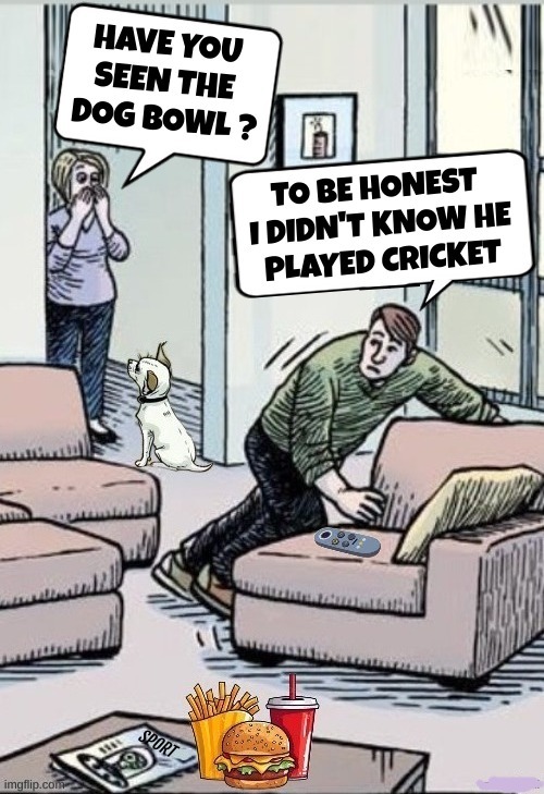 HAVE YOU SEEN THE DOG BOWL ? TO BE HONEST I DIDN'T KNOW HE PLAYED CRICKET