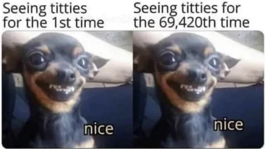 Seeing titties for the 1st time nice Seeing titties for the 69,420th time nice